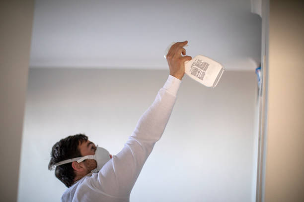 Best Attic Mold Remediation in Arta, CA