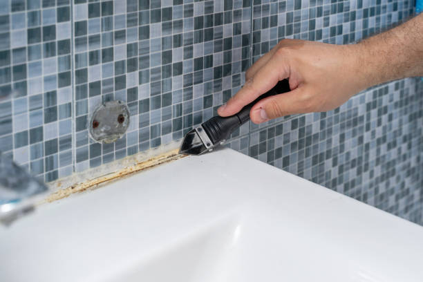 Best Black Mold Remediation in Arta, CA